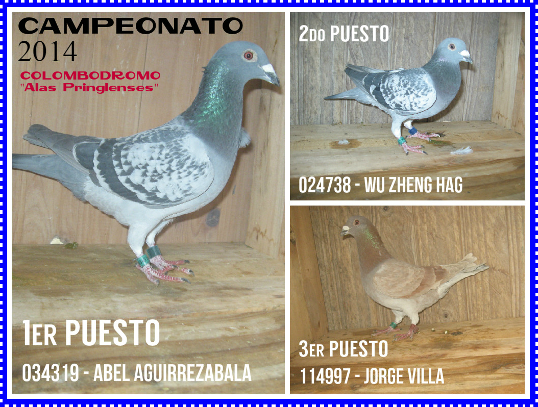 palomas14camp